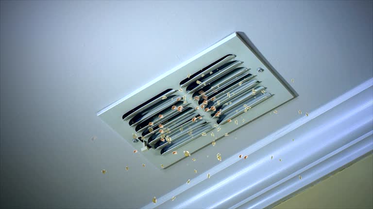 Best Commercial HVAC Duct Cleaning  in Panguitch, UT
